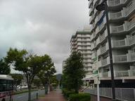 20060917-town.JPG