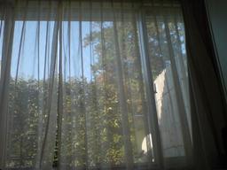 20061203-window.jpg