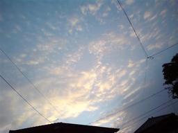 20081231-bluesky.jpg